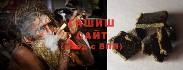 гашик Новозыбков