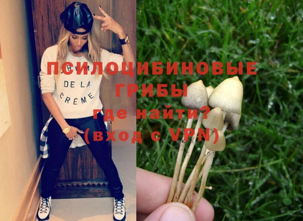 гашик Новозыбков