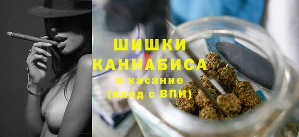 гашик Новозыбков