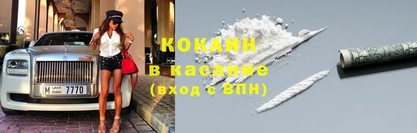 гашик Новозыбков