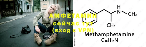 гашик Новозыбков