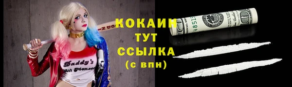 гашик Новозыбков