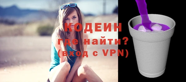 гашик Новозыбков