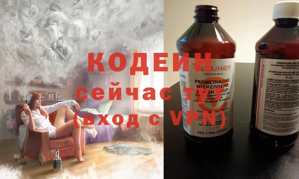 гашик Новозыбков