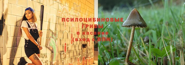 МДПВ Новокубанск