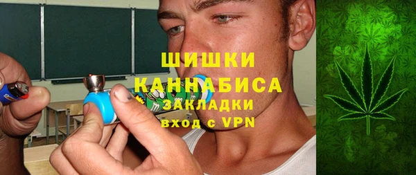 гашик Новозыбков