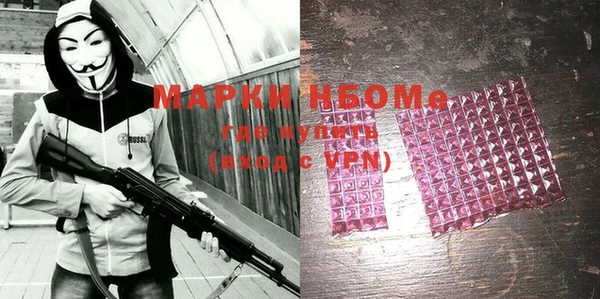 гашик Новозыбков