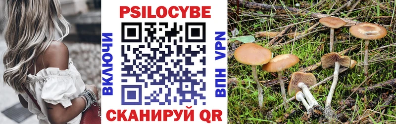 нарко площадка телеграм  Верхняя Салда  Галлюциногенные грибы Psilocybine cubensis 