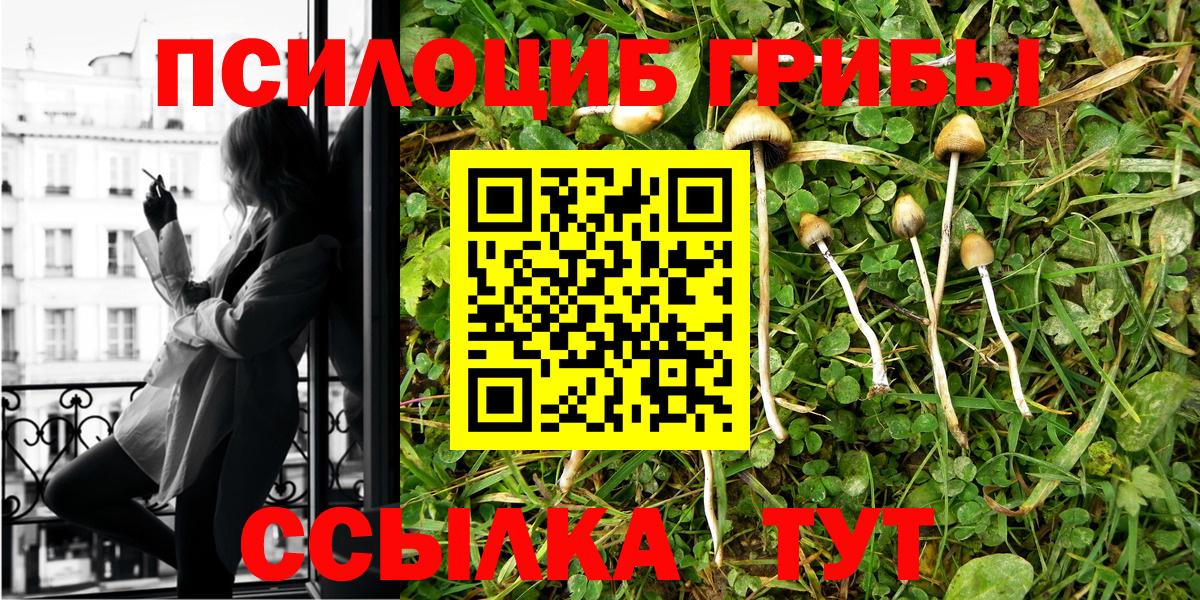 Псилоцибиновые грибы Psilocybine cubensis Верхняя Салда