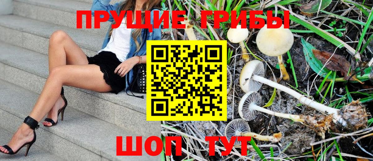 Галлюциногенные грибы Psilocybe  Псилоцибиновые грибы Magic Shrooms  Верхняя Салда 